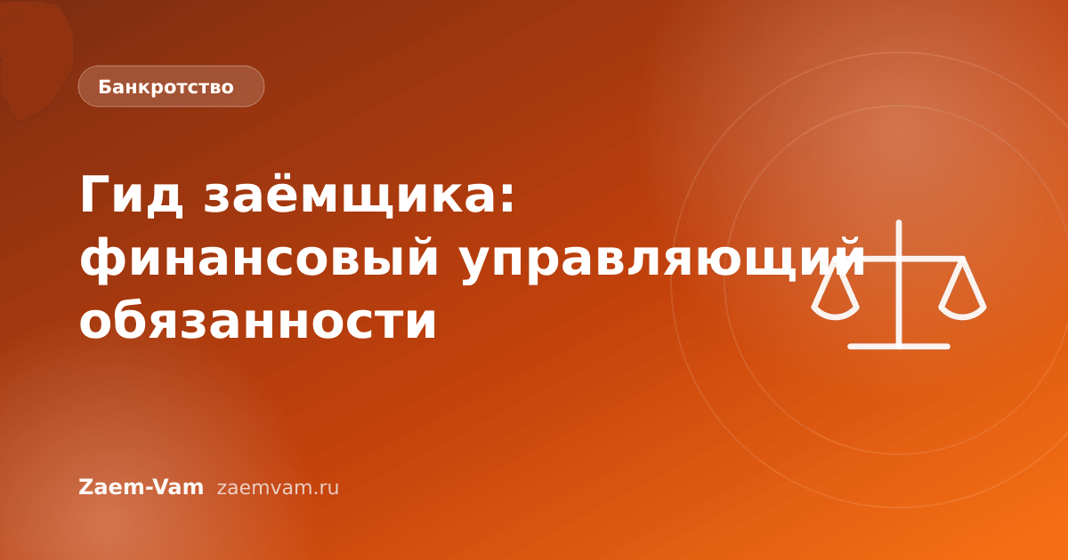 Гид заёмщика: финансовый управляющий обязанности