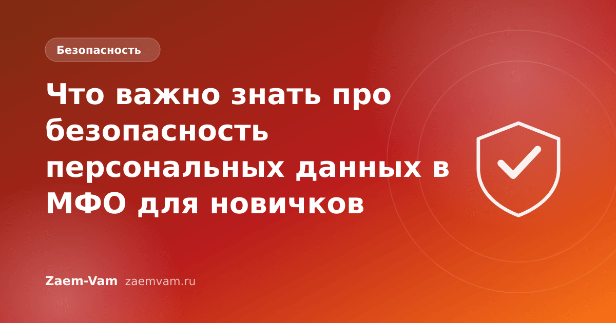 Что важно знать про безопасность персональных данных в МФО для новичков