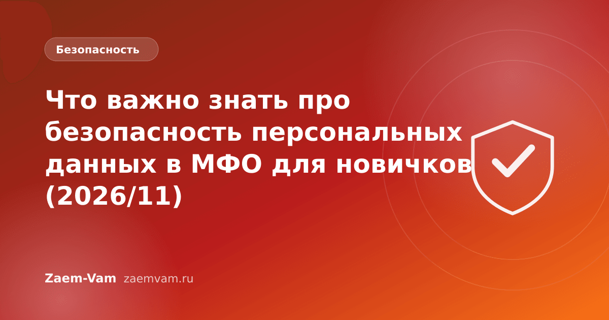 Что важно знать про безопасность персональных данных в МФО для новичков (2026/11)