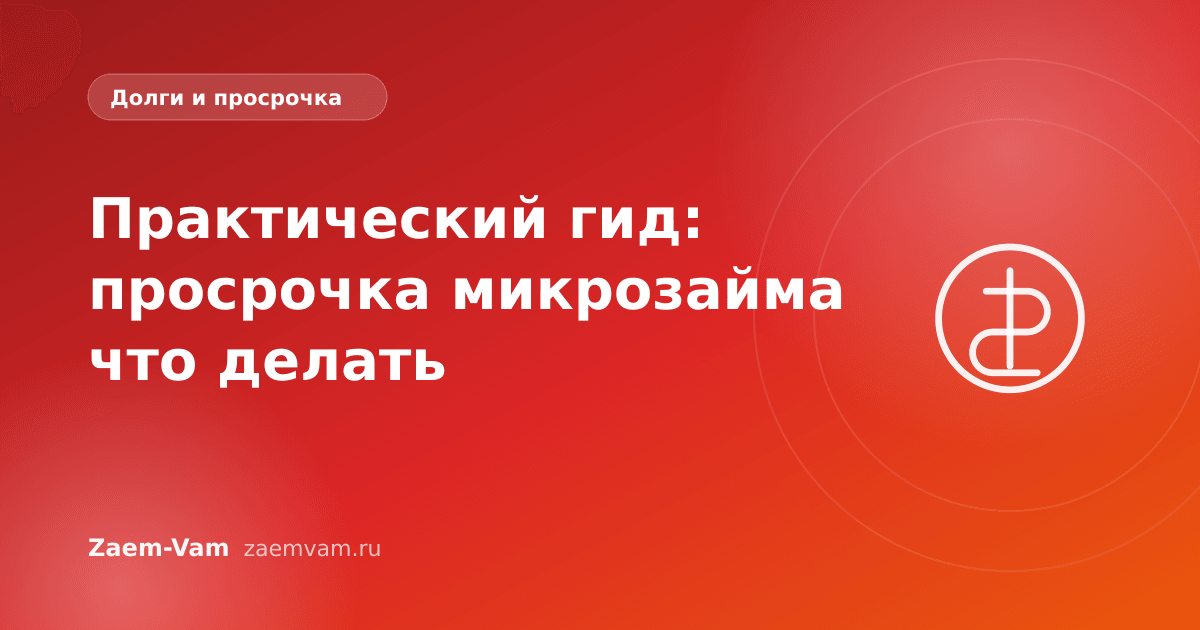 Практический гид: просрочка микрозайма что делать