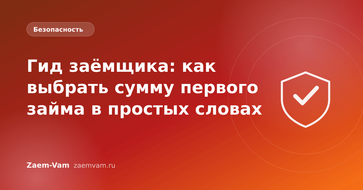 Гид заёмщика: как выбрать сумму первого займа в простых словах